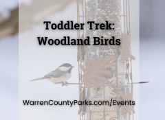 chickadee sitting on a feeder with snow in the background